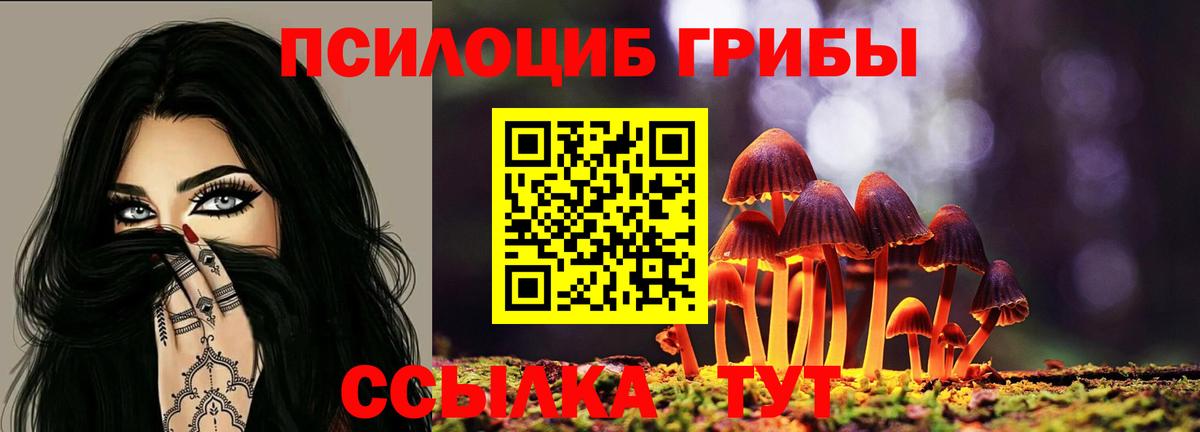 Галлюциногенные грибы мухоморы Назарово